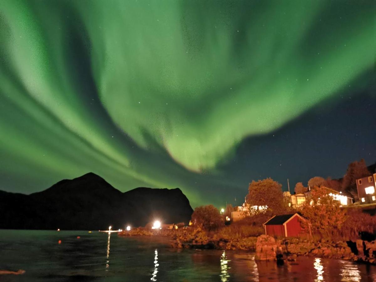 Waterfront Senja Apartman Torsken Kültér fotó