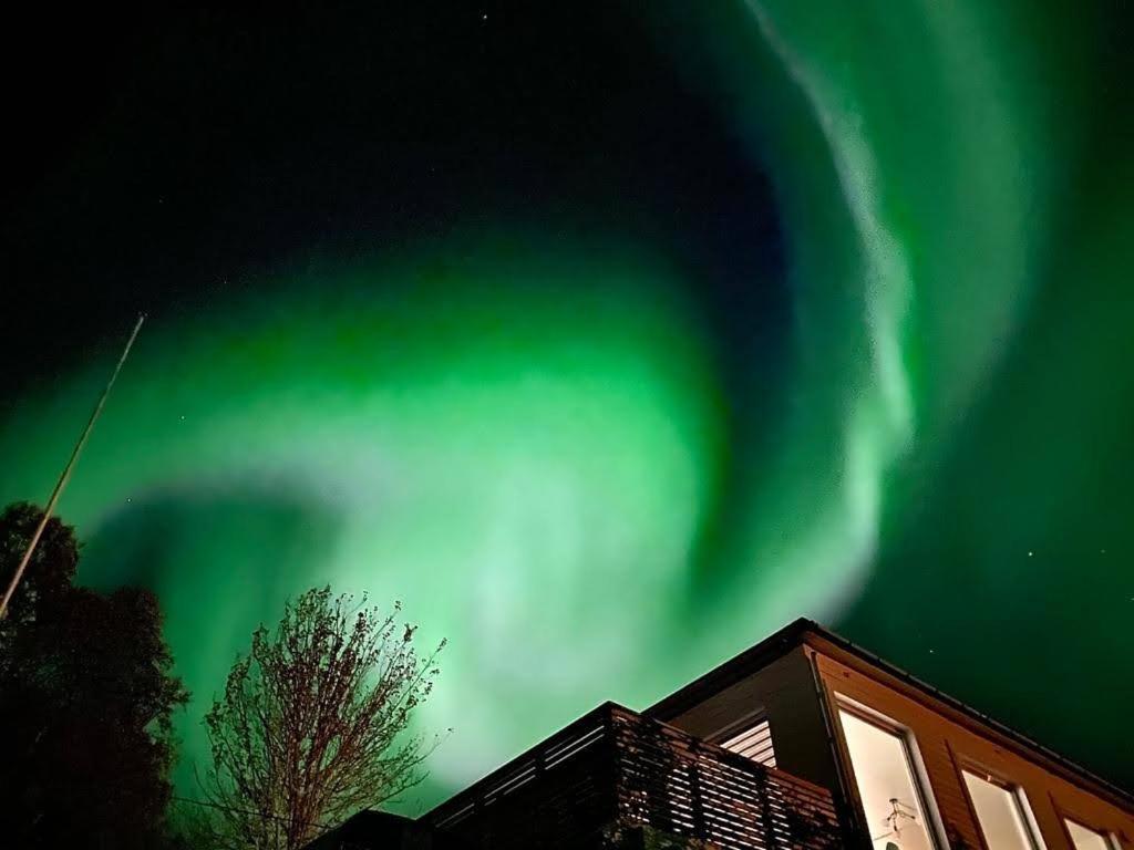 Waterfront Senja Apartman Torsken Kültér fotó