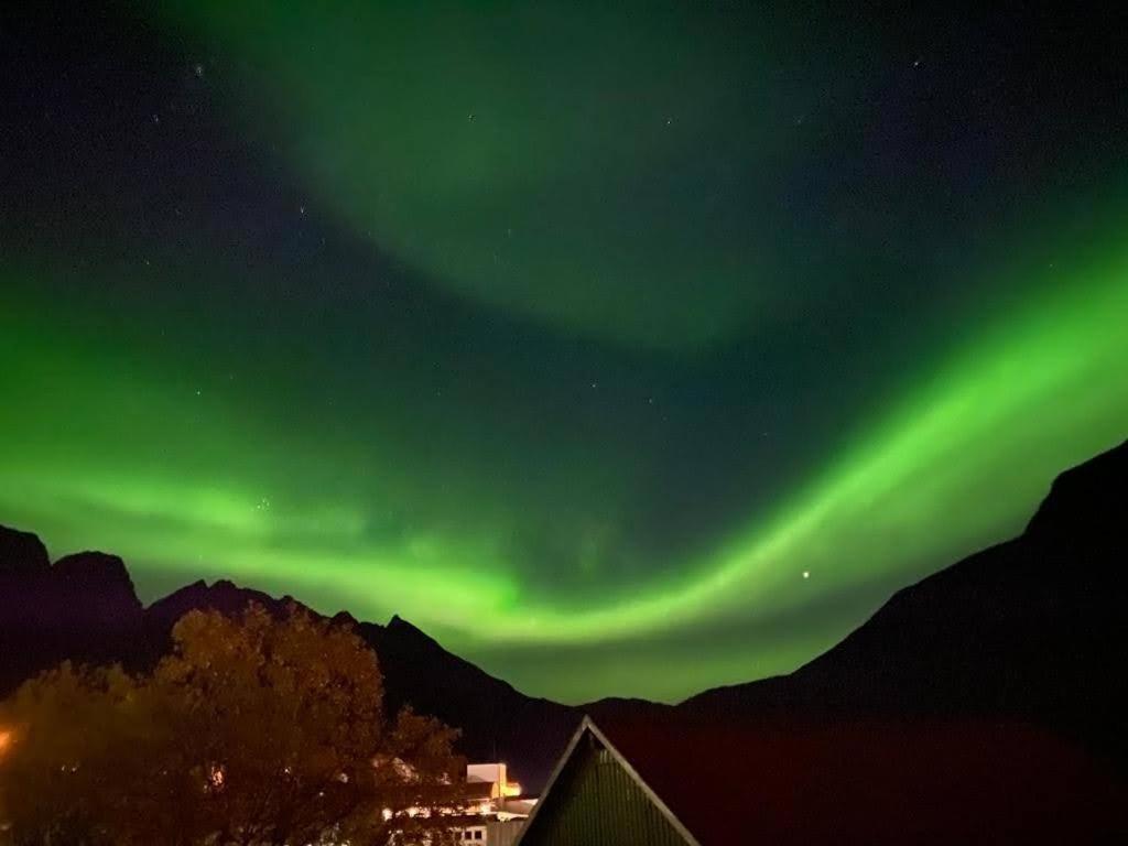 Waterfront Senja Apartman Torsken Kültér fotó