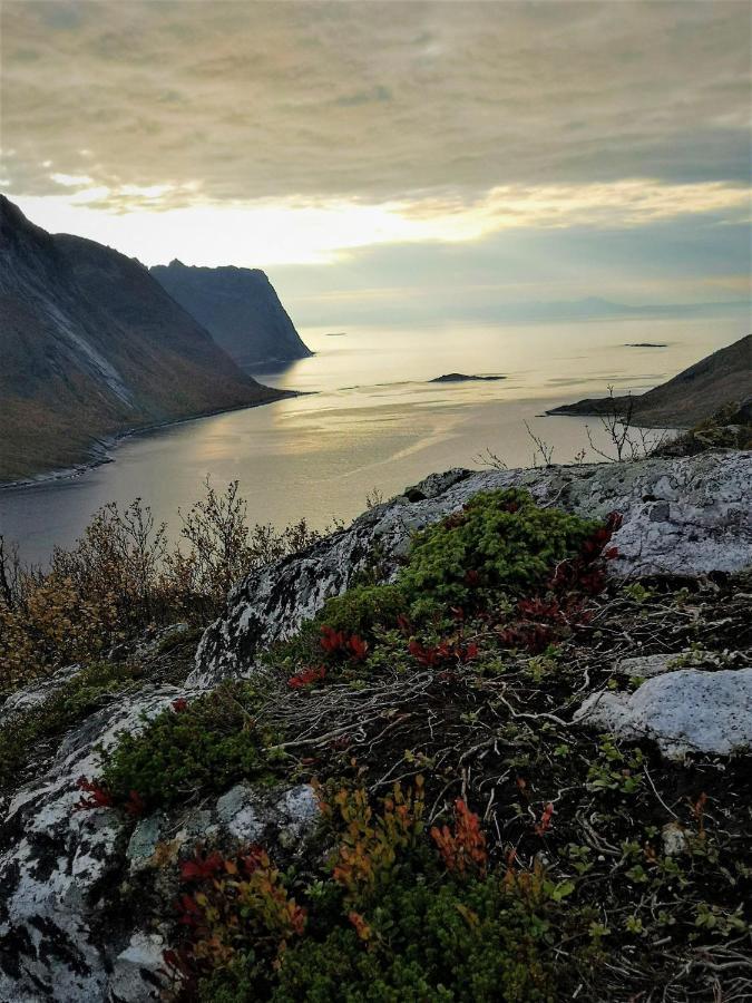 Waterfront Senja Apartman Torsken Kültér fotó