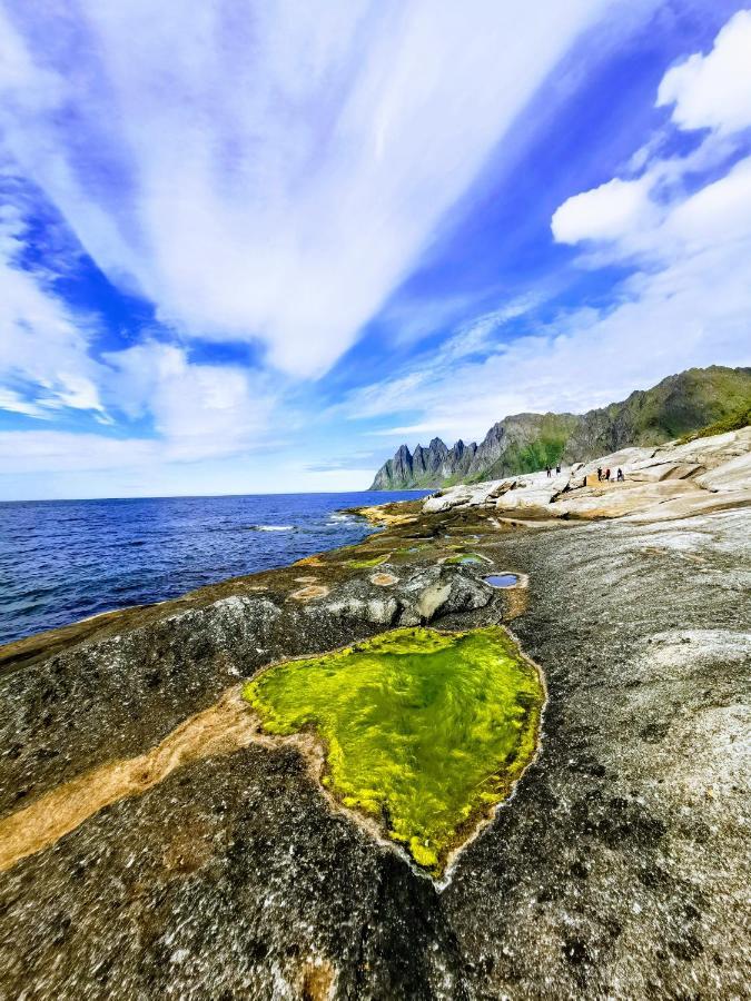 Waterfront Senja Apartman Torsken Kültér fotó