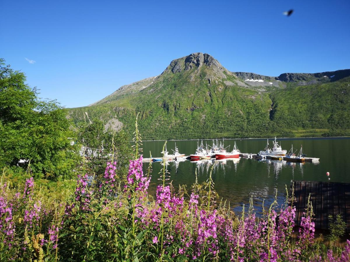 Waterfront Senja Apartman Torsken Kültér fotó