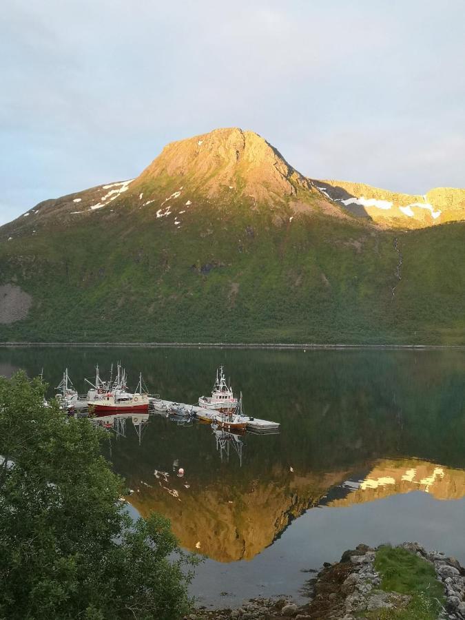 Waterfront Senja Apartman Torsken Kültér fotó