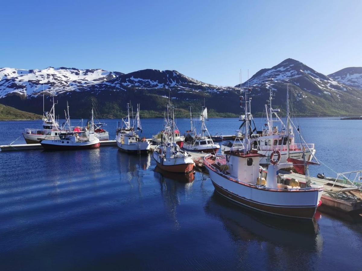 Waterfront Senja Apartman Torsken Kültér fotó