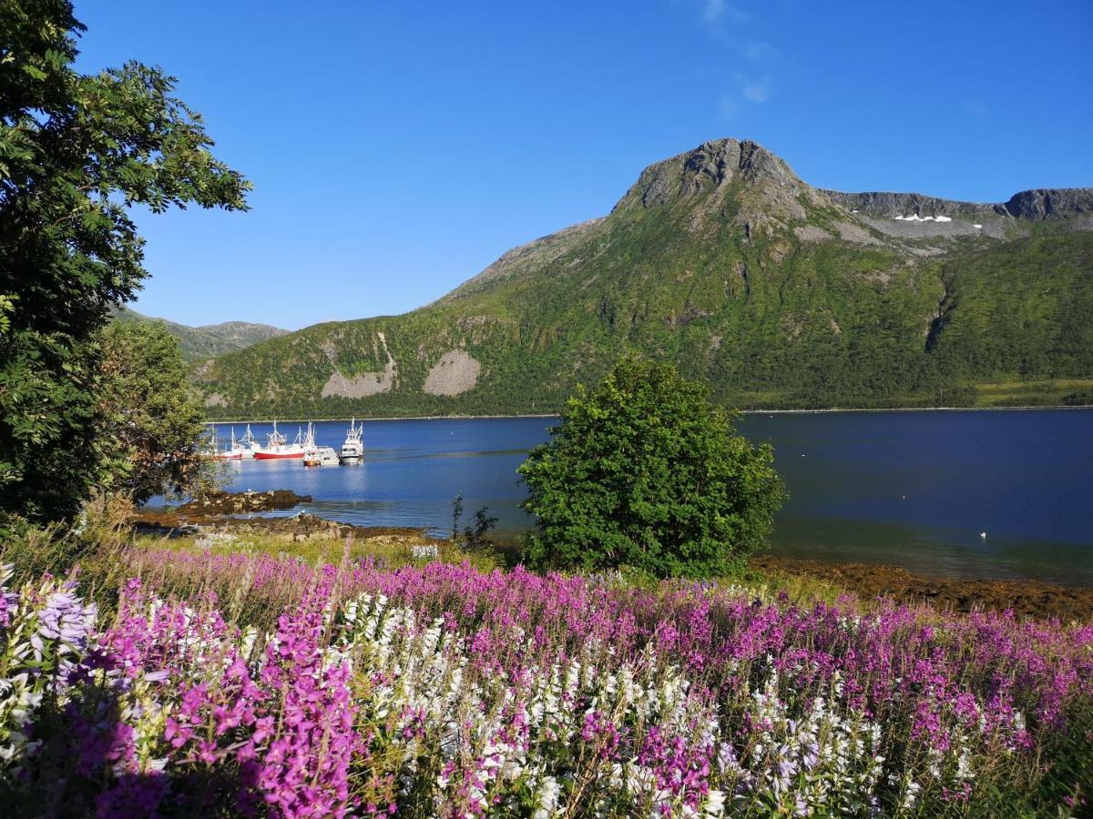 Waterfront Senja Apartman Torsken Kültér fotó