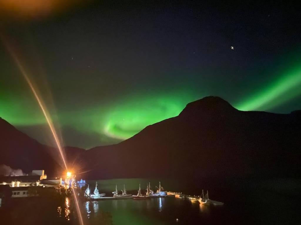 Waterfront Senja Apartman Torsken Kültér fotó