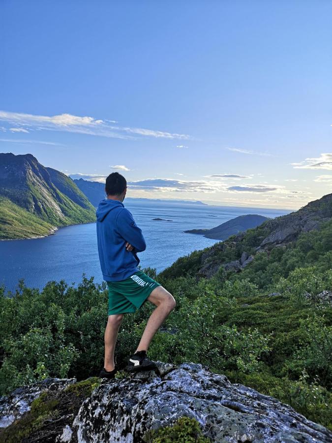 Waterfront Senja Apartman Torsken Kültér fotó