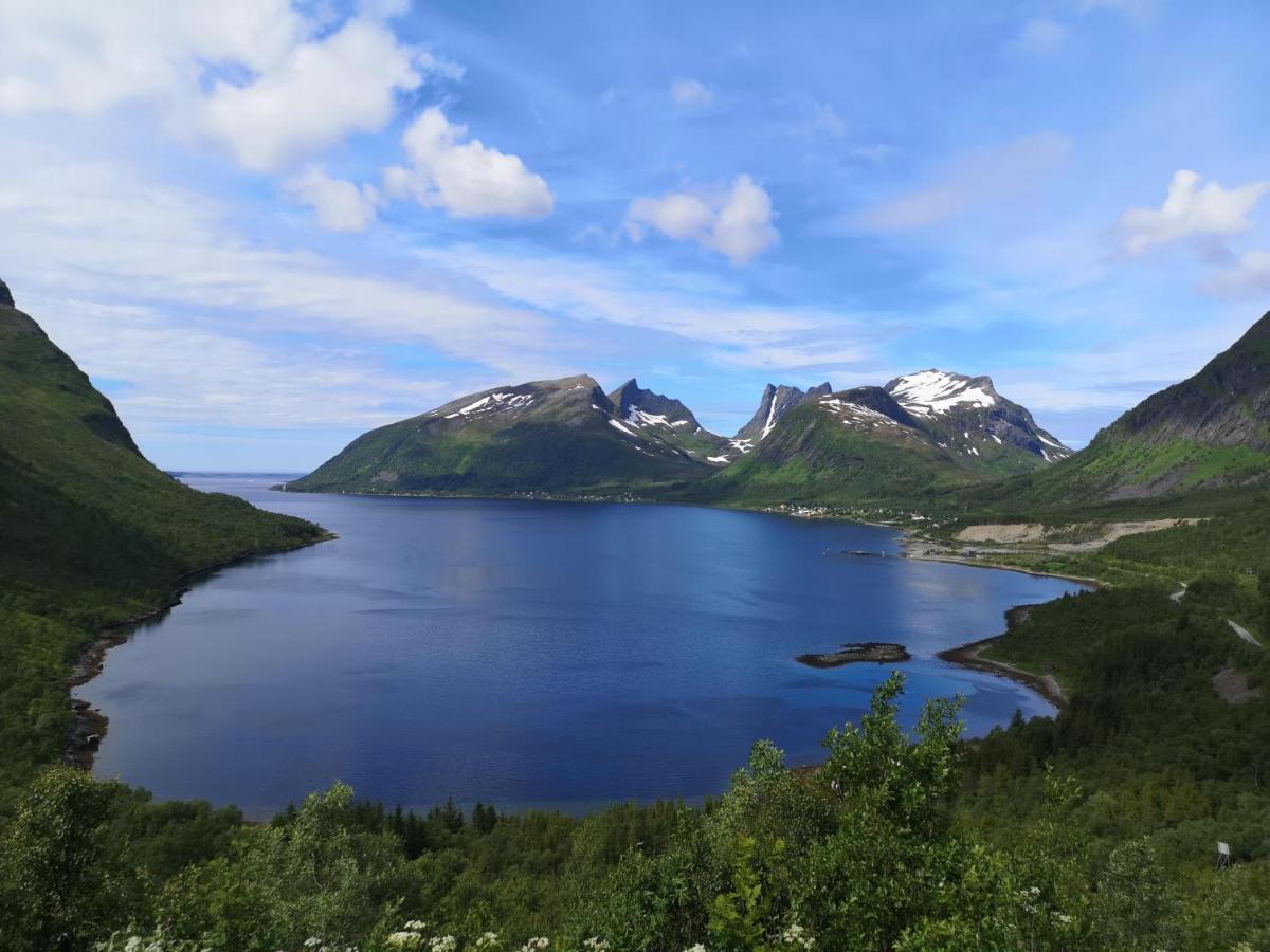 Waterfront Senja Apartman Torsken Kültér fotó